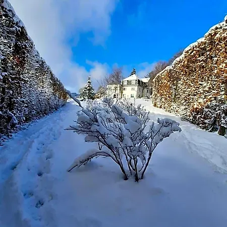 La Roseraie Гостевой дом 4*